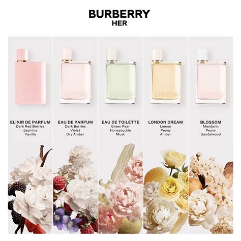 what does burberry for her smell like|burberry her elixir noted.